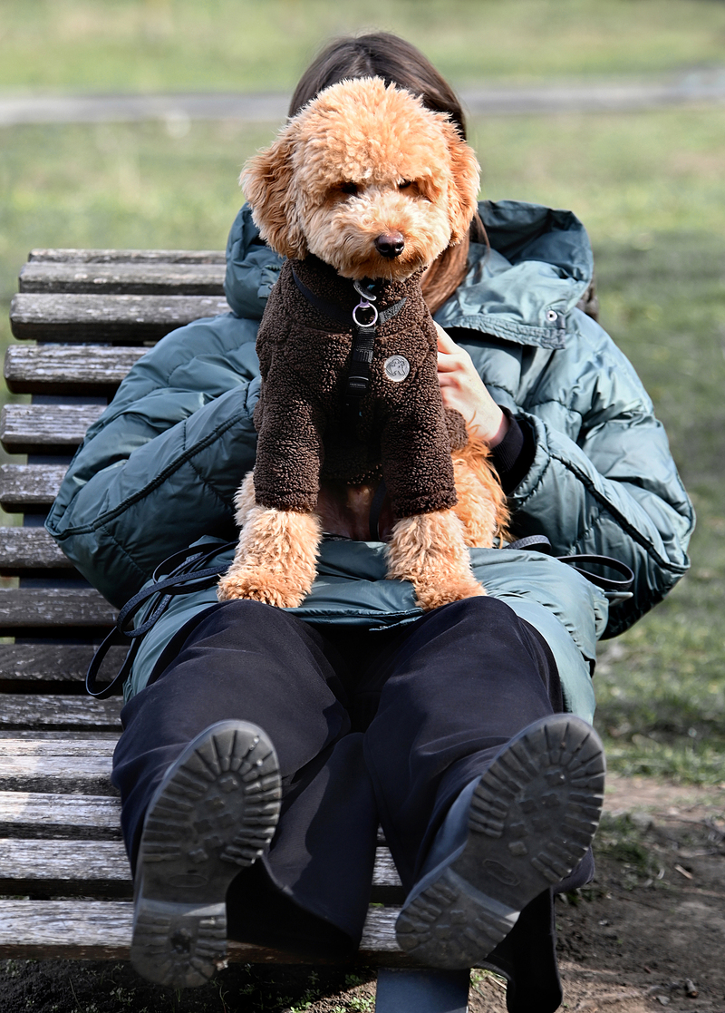 дама с собачкой