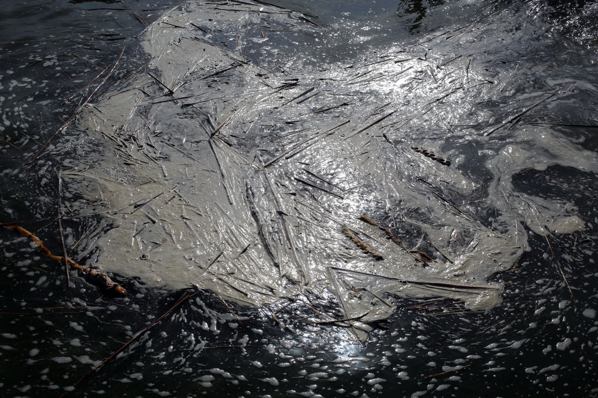 Люди купаються та відпочивають у Чорному морі через пару днів після вибуху Каховської ГЕС