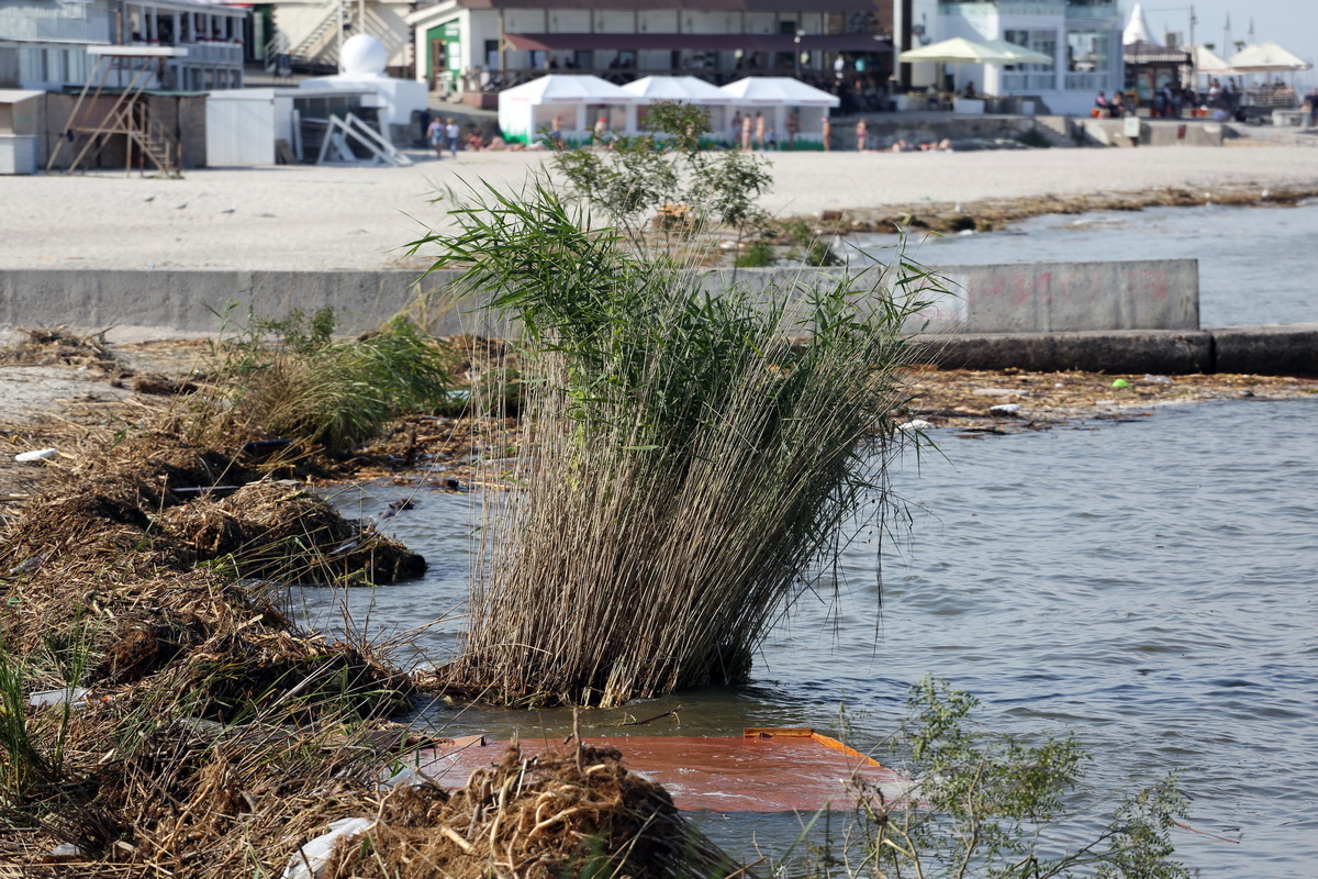 Люди купаються та відпочивають у Чорному морі через пару днів після вибуху Каховської ГЕС