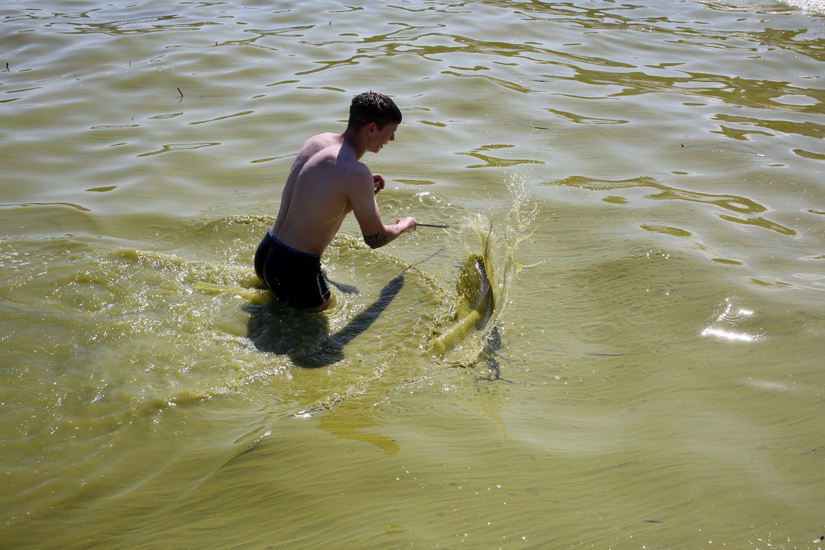 Люди купаються та відпочивають у Чорному морі через пару днів після вибуху Каховської ГЕС