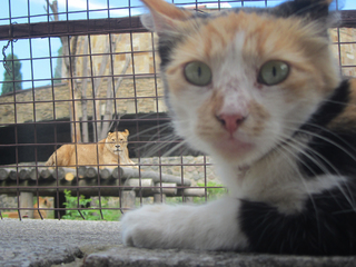 По ту сторону добра і зла