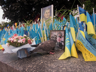 Я ДИВЛЮСЬ В ТВОЇ ОЧІ