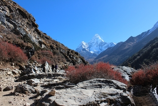 Гімалаї. На ЗП Ама Даблам