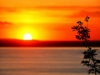 Трахтемирів