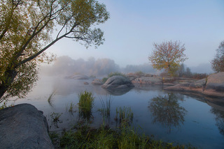 Ранкова ніжність