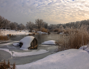 Перламутровий Гіпаніс