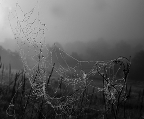 Сходи до неба