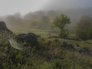 Поріччя річки Бог.