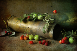 Йшла війна між садами