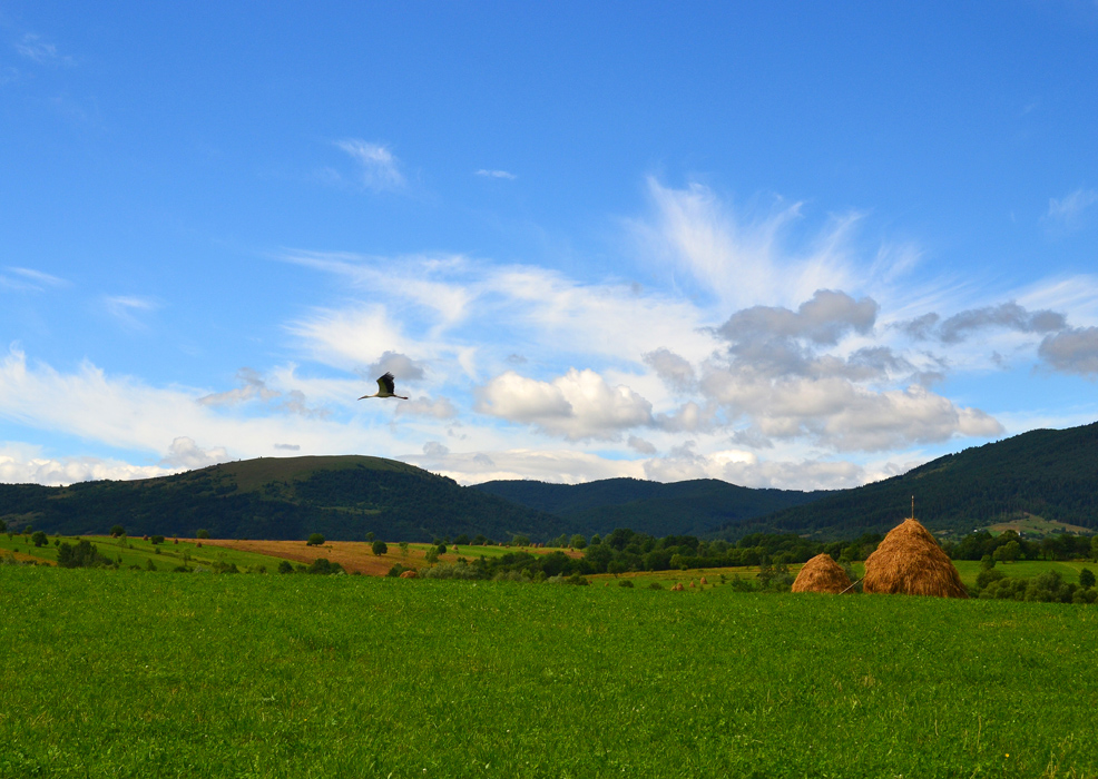 Літній пейзаж