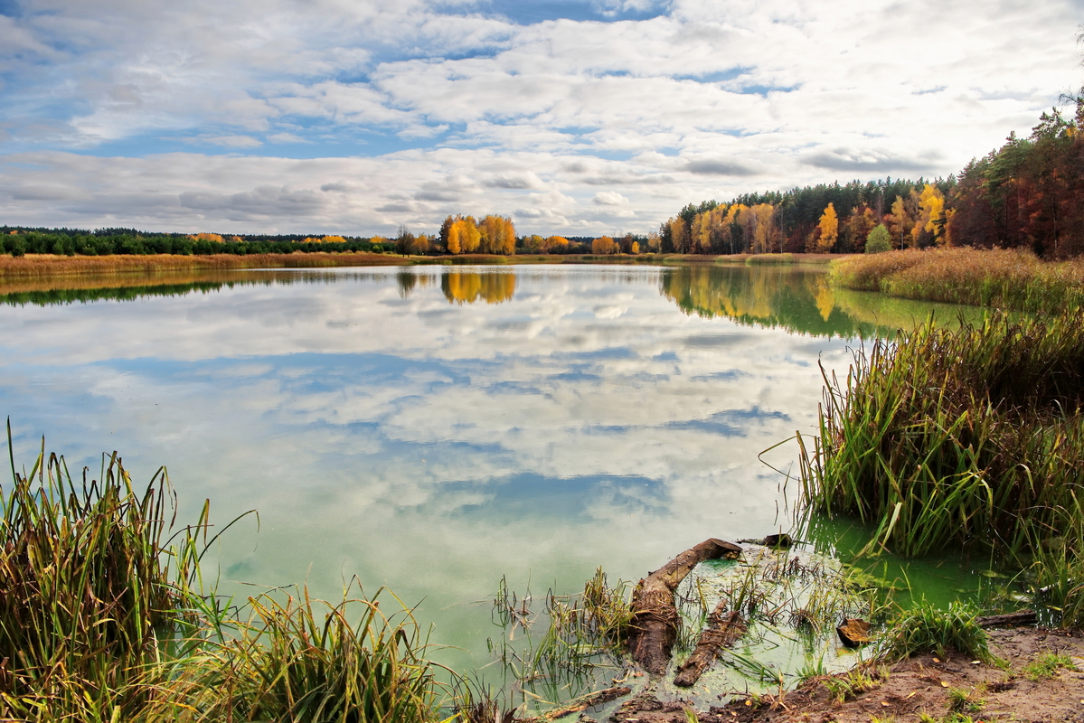 Осіння акварель
