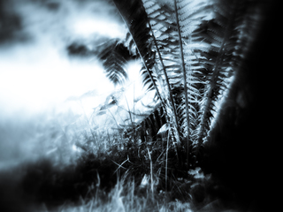 Хитка рівновага