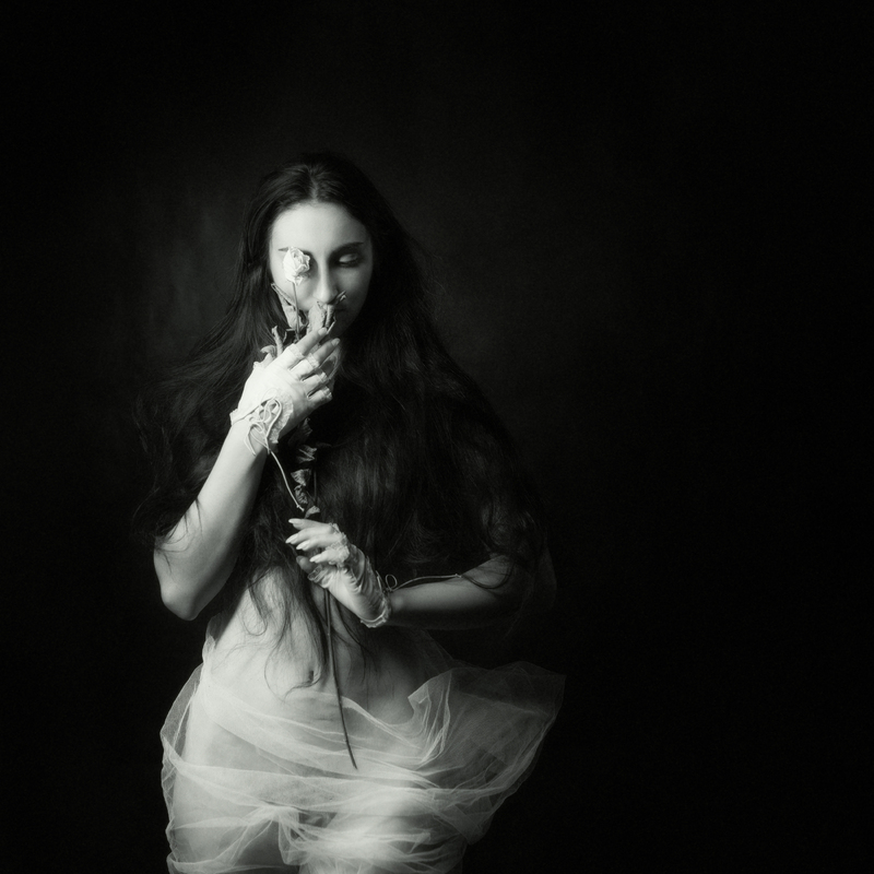 Засохла троянда