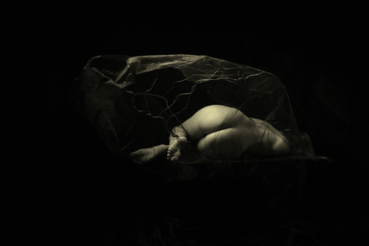 Останнє вітрило