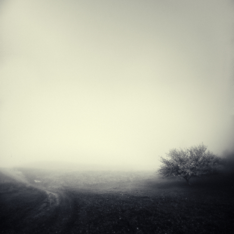 Всесвіт Дземброня