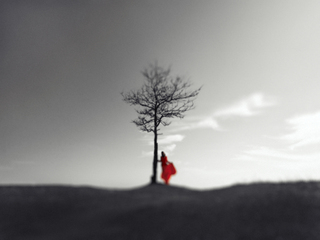 Дівчина в червоному