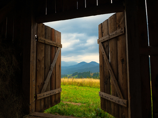 Вхід в Карпати