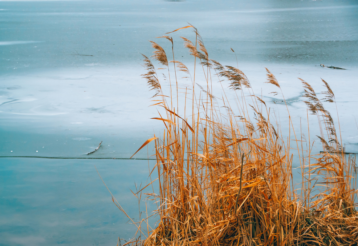 Озеро на Святошині