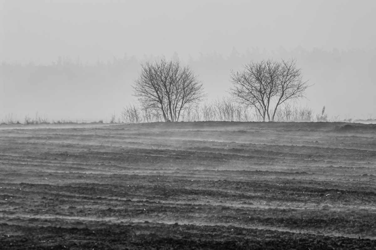 Рання весна