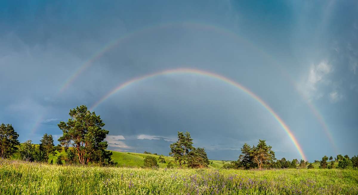 Після травневої грози
