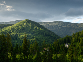 Carpathians