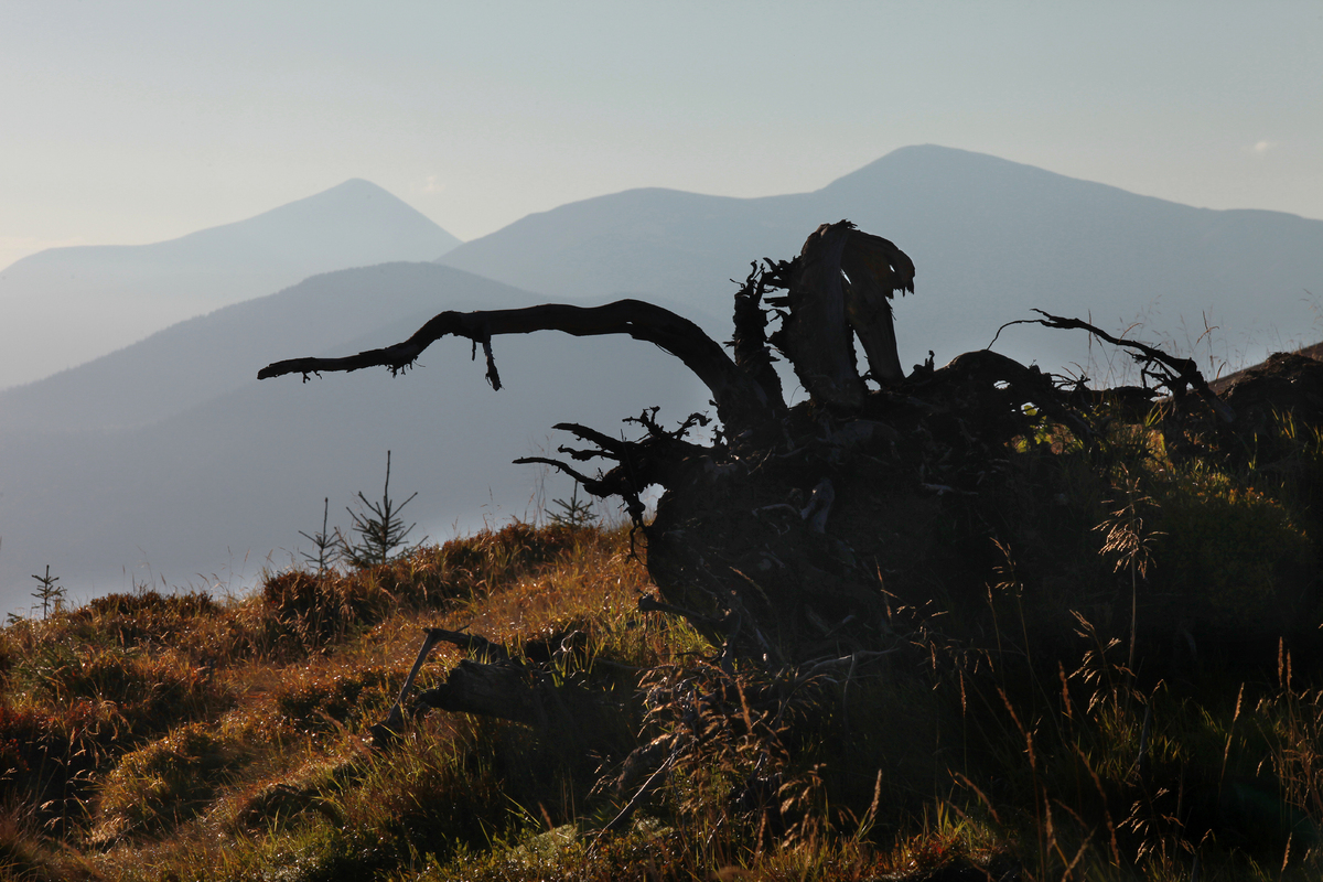 Silhotettes of mountains