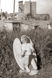 Бобровицький ангел