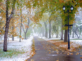 Перший сніг