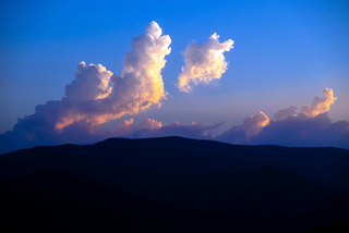 Небесні пси...