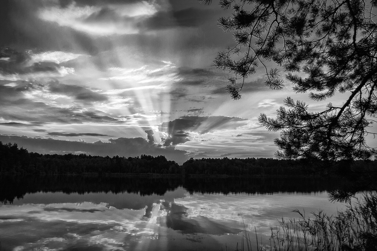 Лісове озеро.