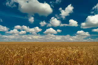 Безмежність...