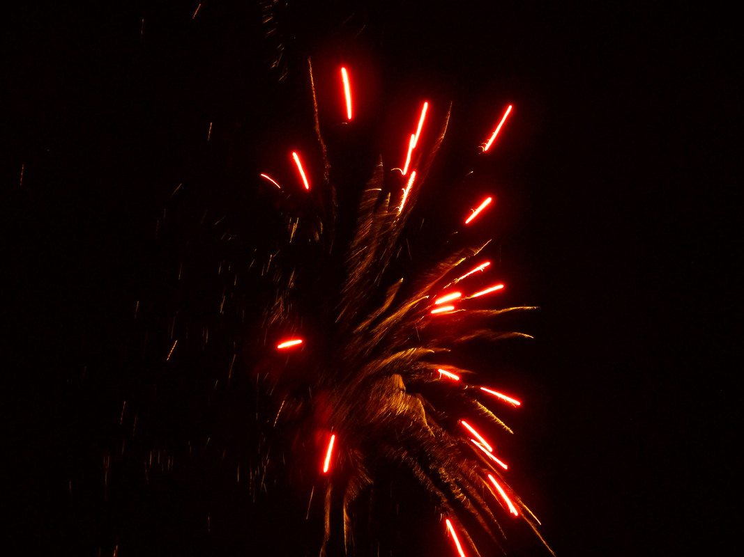 Вибухова квітка