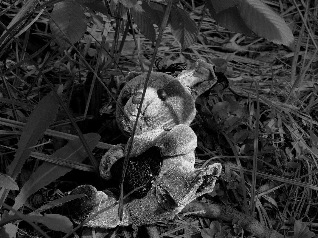 Улюблена іграшка