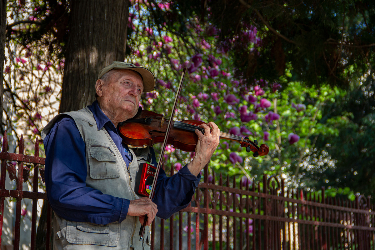 Вуличний музикант