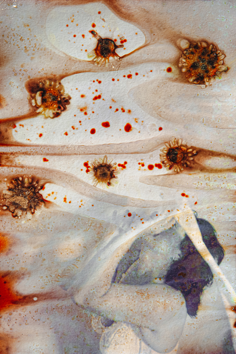 Квітуча жіночність #3