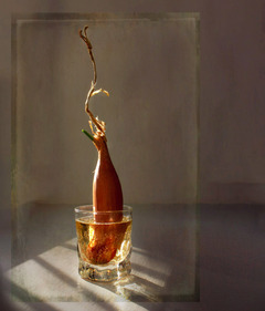 Луковий портрет в березні