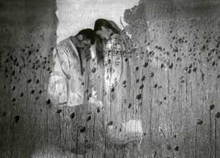 Були соняхи