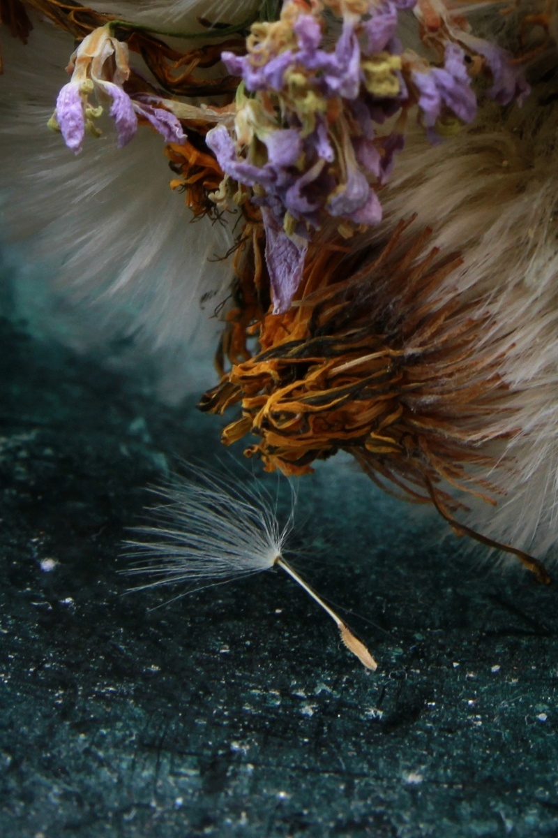 матір і дитя