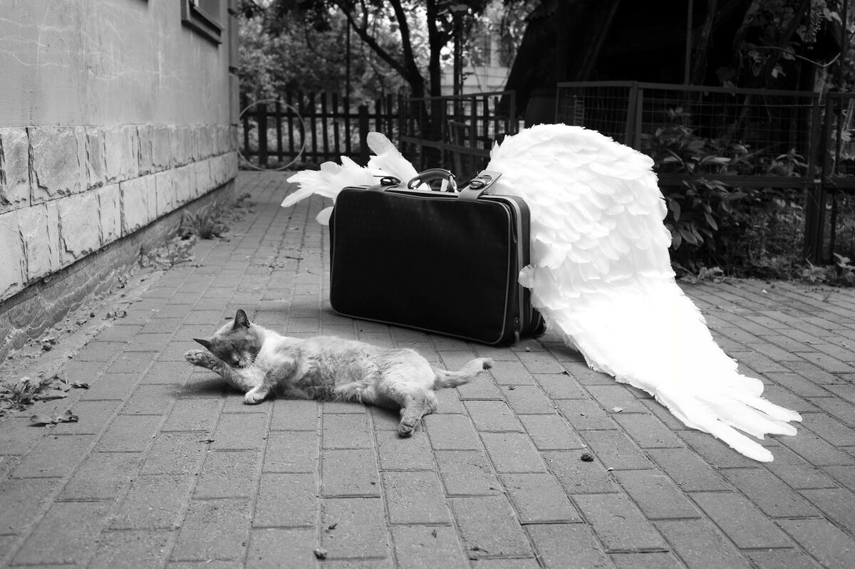 Україна. Бориспіль. Вдома.