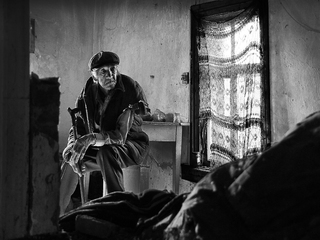 Вони - звірі, а не люди