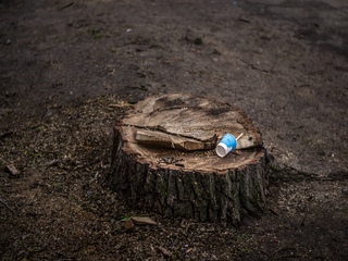 Те, що залишиться після нас