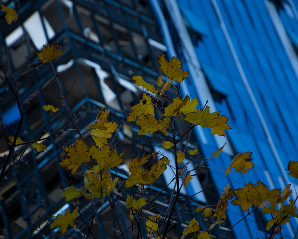 Київська осінь