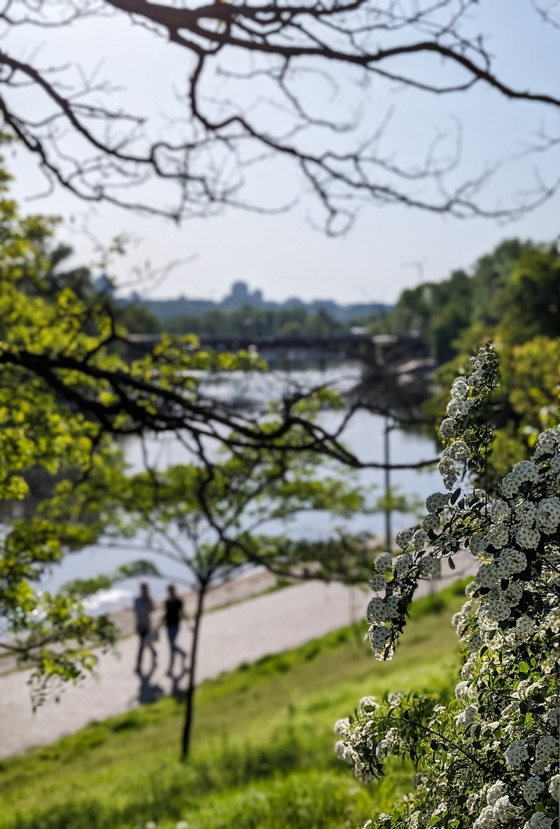 Весна воєнного часу 3