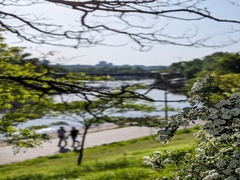 Весна воєнного часу 3