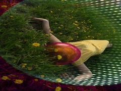 Гравітація