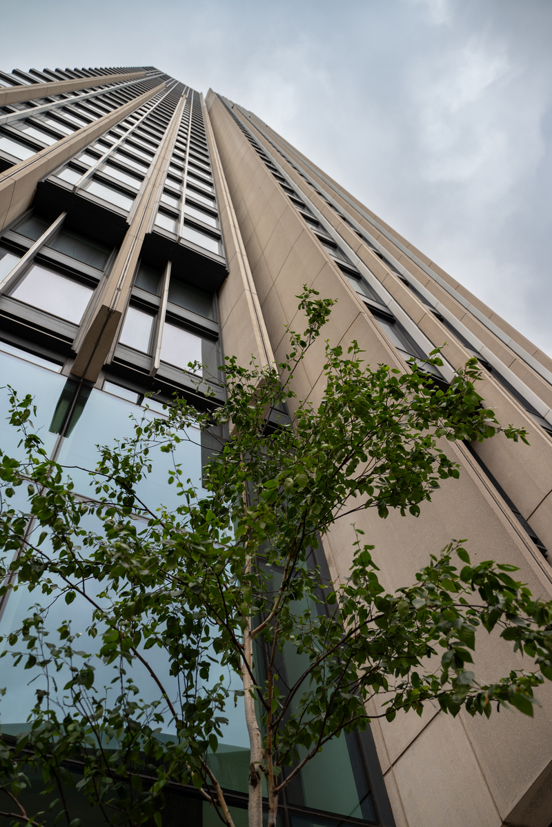 Гра тіней і світла