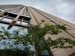 Гра тіней і світла