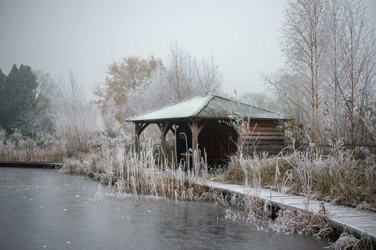 Морозний світанок