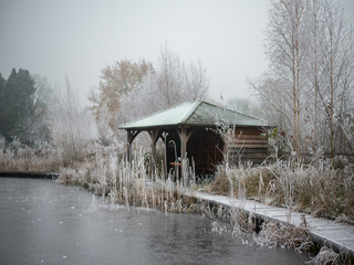 Морозний світанок