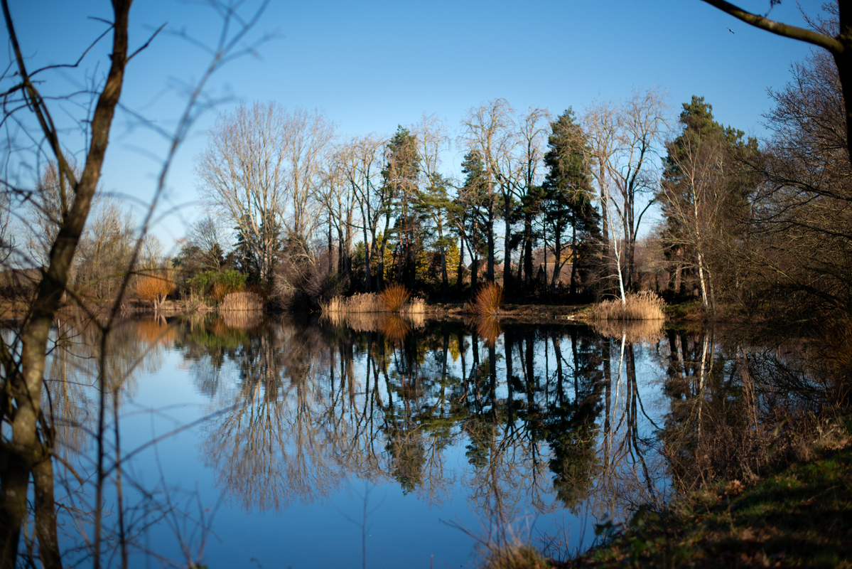 Дзеркало природи
